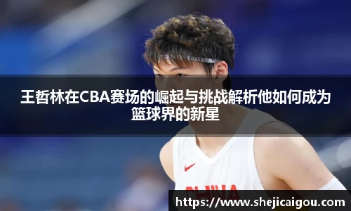 王哲林在CBA赛场的崛起与挑战解析他如何成为篮球界的新星