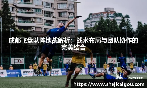 成都飞盘队阵地战解析：战术布局与团队协作的完美结合