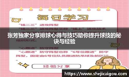 张芳独家分享排球心得与技巧助你提升球技的秘诀与经验